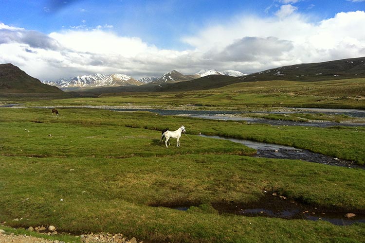 Deosai_national_park_Skardu_Gilgit.jpg