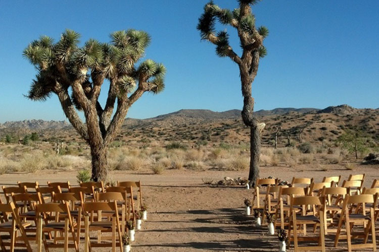 desert wedding 2.jpg