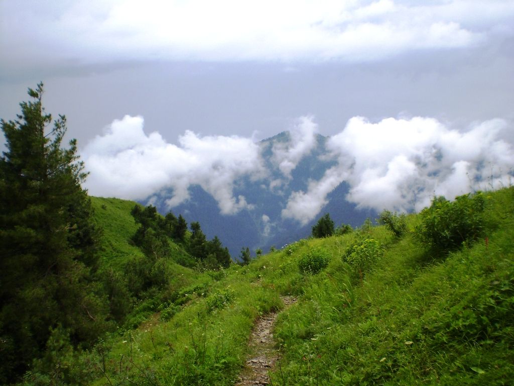 Shimla-pahari.jpg