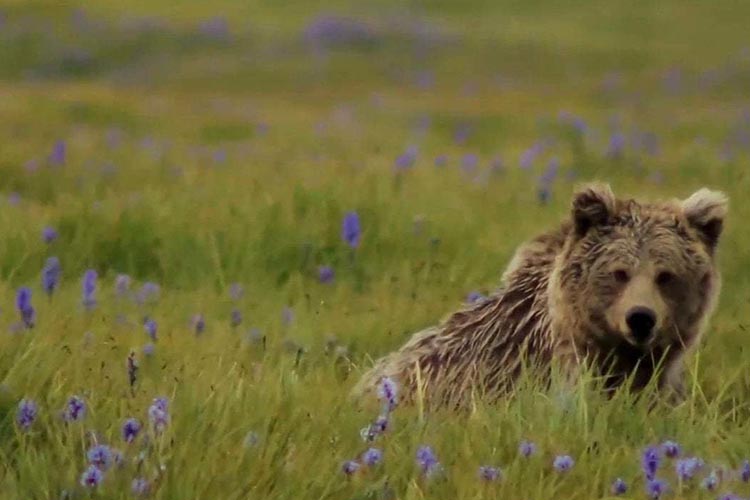 skardu wildlife.jpg