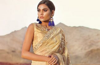 Must-Have Sarees For Your Bari Collection