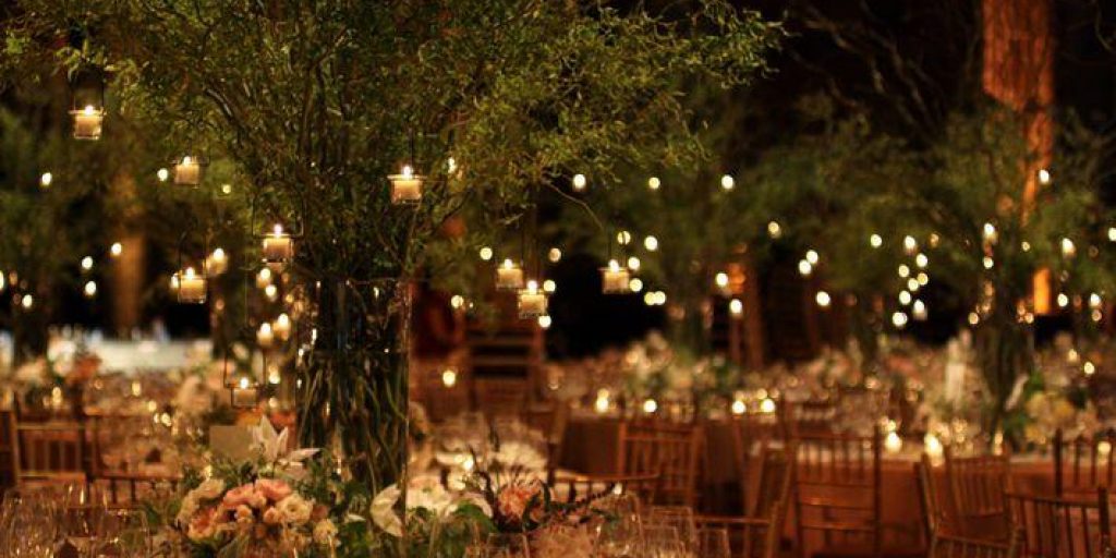 5 Ways To Add Trees In Your Wedding Décor