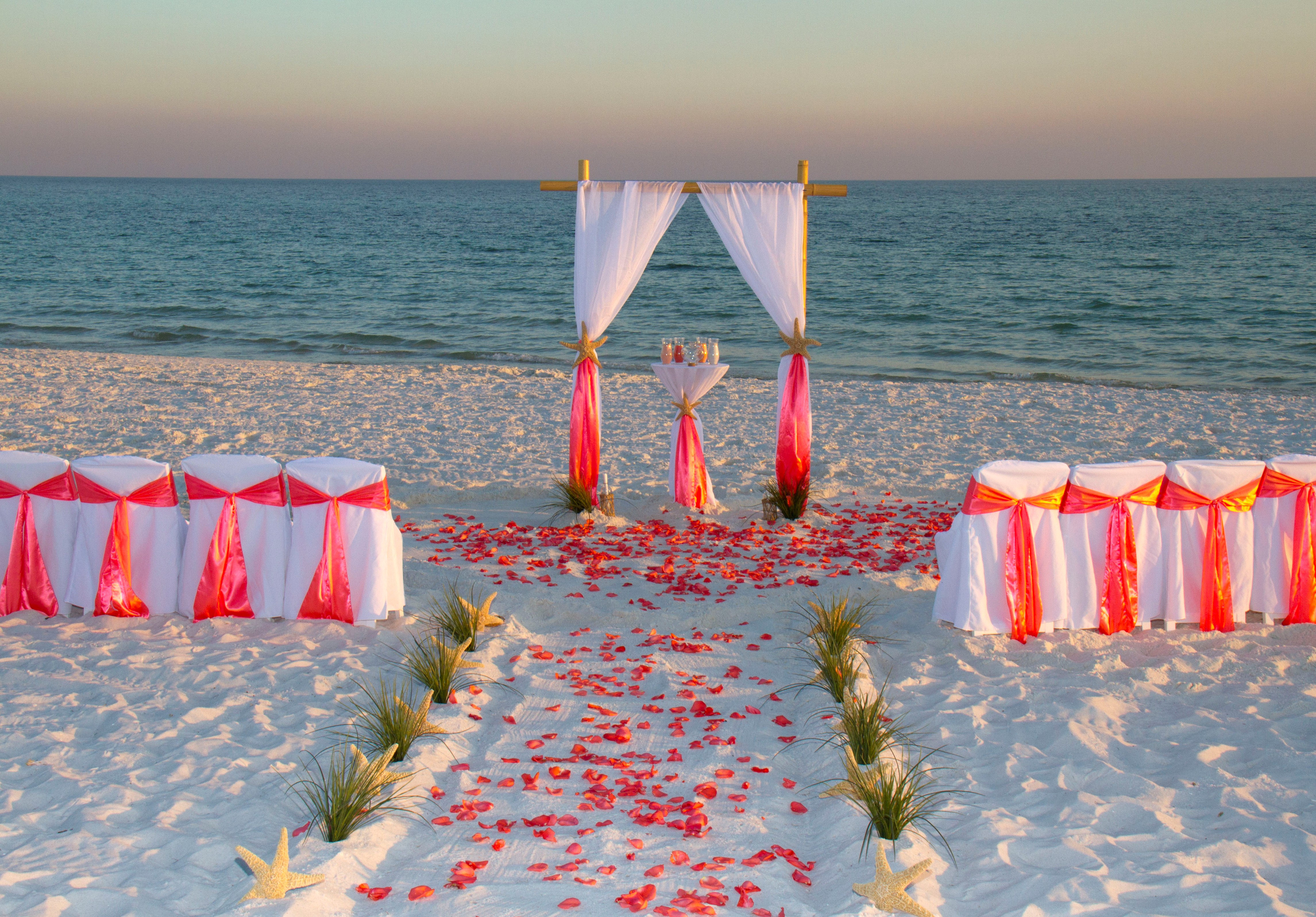 beach wedding.jpg