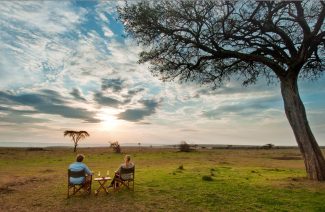 Safari Honeymoon Essentials For Your Trip To The Wild