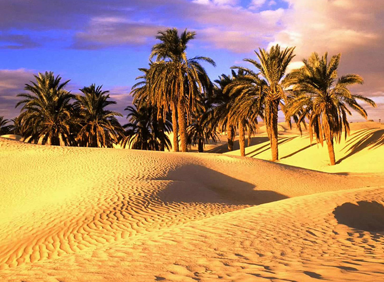 sahara desert.jpg