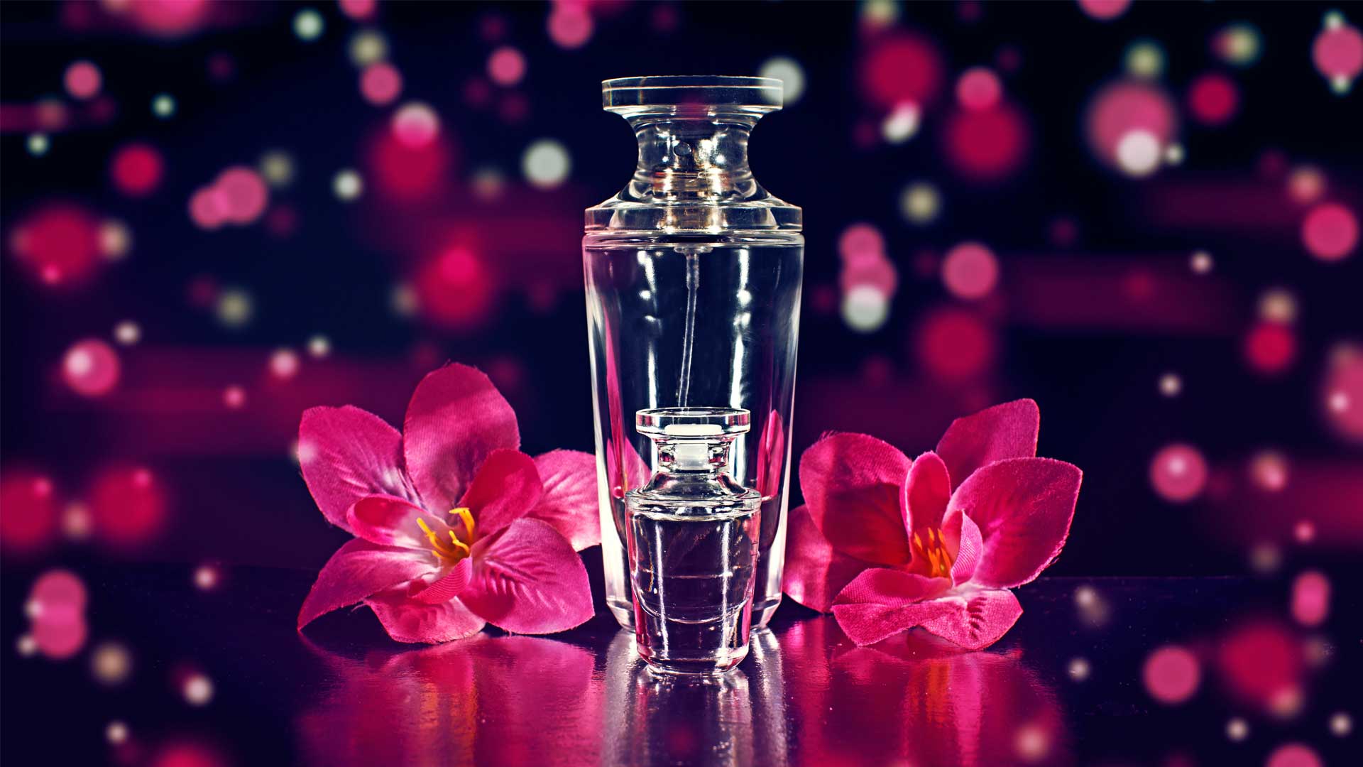Top Scents For Women Worth Spending Money On