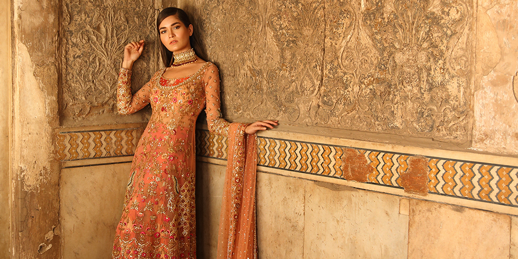 Pakistani dresses for wedding party 2019 best sale