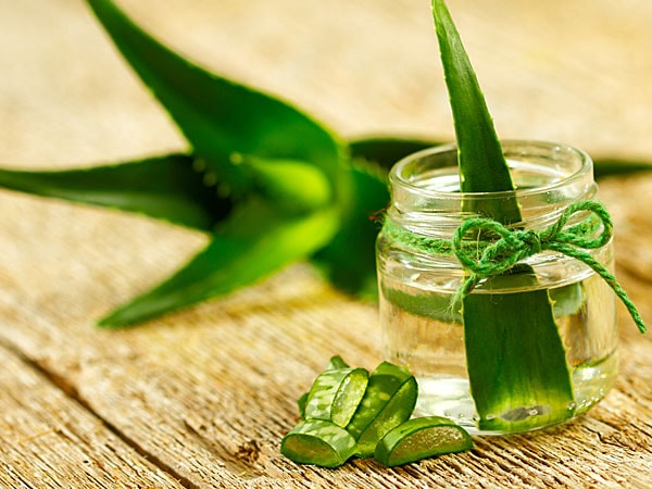 Aloe Vera to ward off skin discoloration