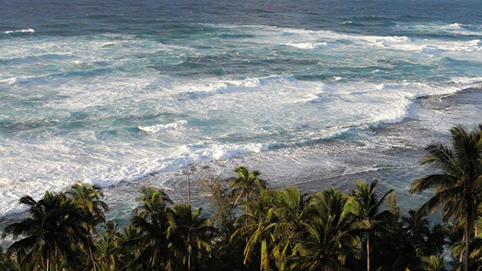 Beaches Of The Amazon-South America