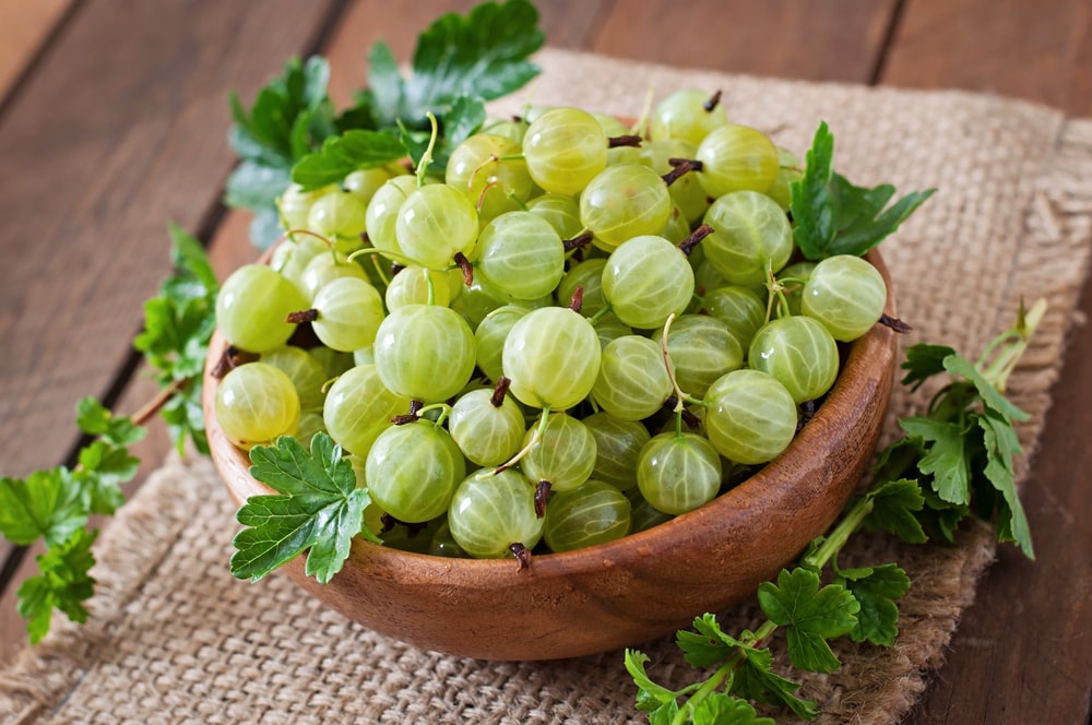 Indian gooseberry Amla 