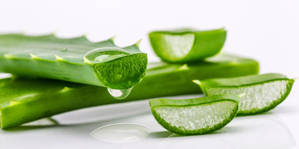 How to Introduce Aloe Vera into Your Bridal Beauty Regimen?