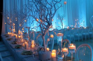 Charming And Magical Ice Blue Winter Wedding Ideas