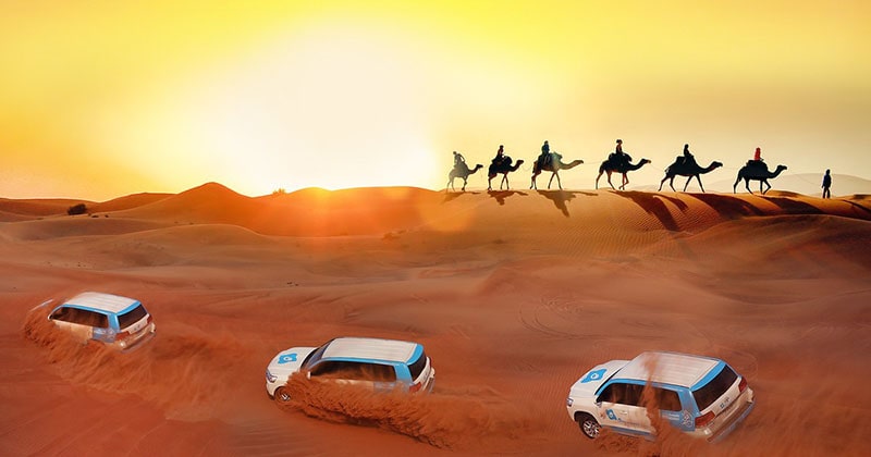 Best Desert Safari Destinations to Explore In The World