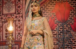 Nomi Ansari’s Latest Bridal Dresses Are What You Expected & More!