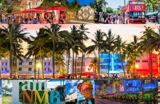 5+ Movies & TV Shows that Capture the Best Of Miami for You to Fall In Love With