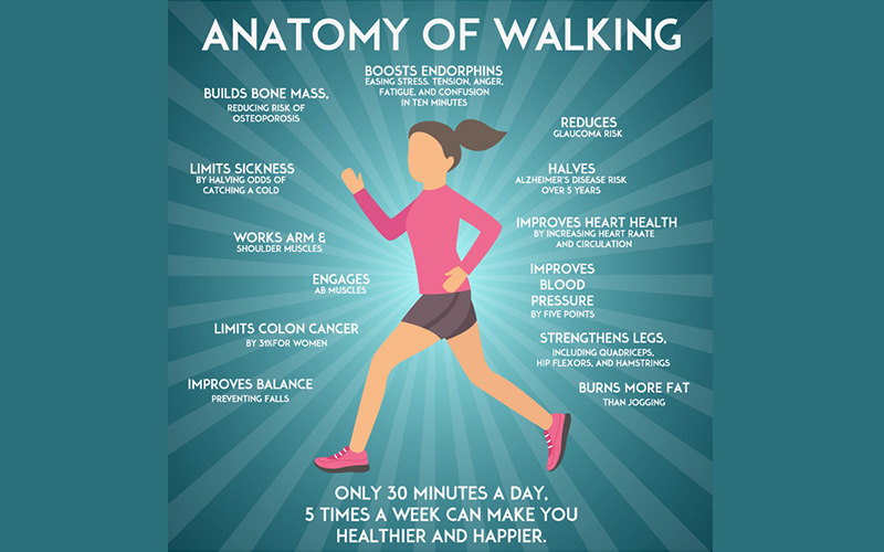 Why Is Walking the Most Popular Form of Exercise?